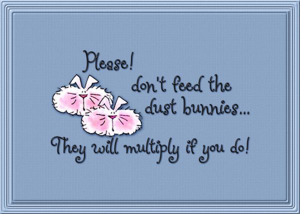 dust bunnies photo: Dust Bunnies DustBunnies_Sgn-1080.jpg
