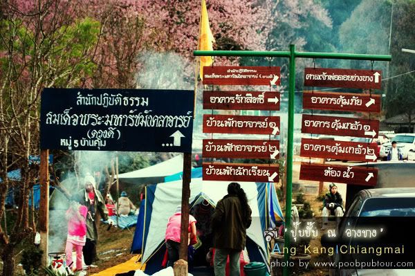 โรงเรียนเทพศิรินทร์อ่างขาง