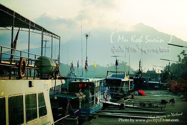 ท่าเรือ คุระบุรี