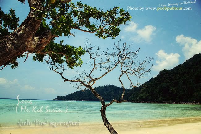 หมู่เกาะสุรินทร์