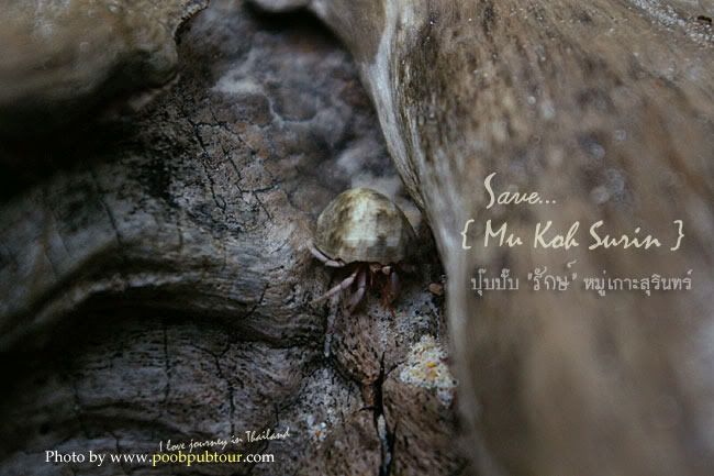 หมู่เกาะสุรินทร์