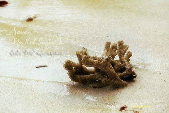 หมู่เกาะสุรินทร์