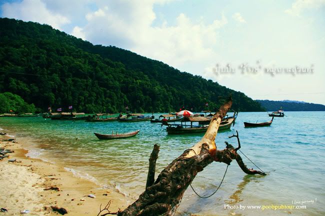 หมู่เกาะสุรินทร์