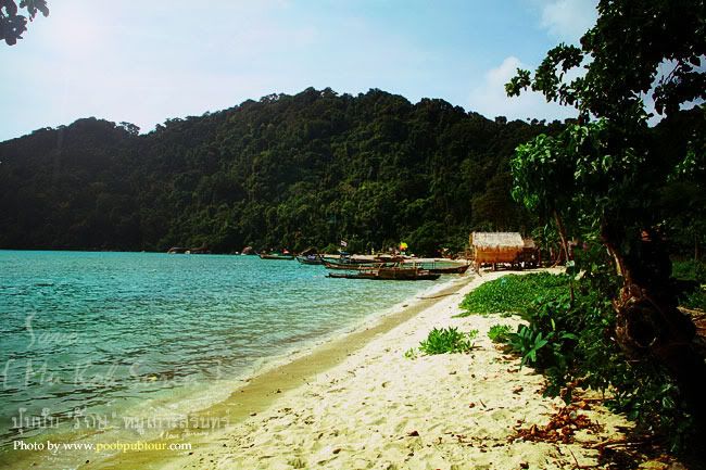 หมู่เกาะสุรินทร์