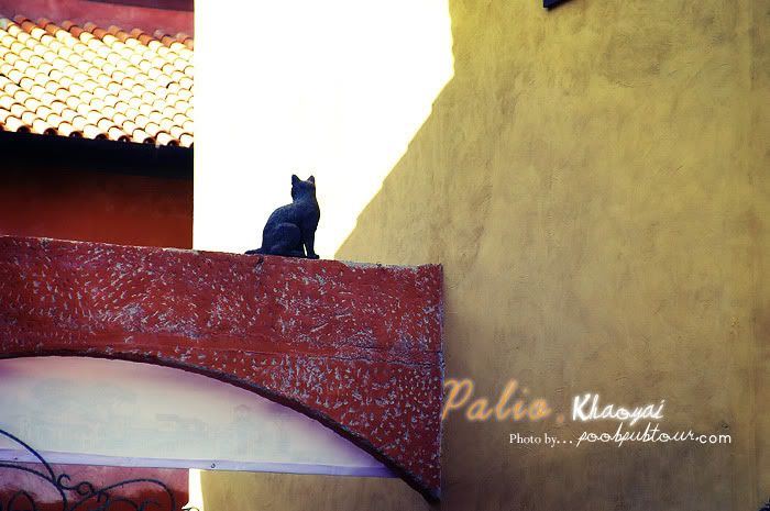 IMGP3359-m