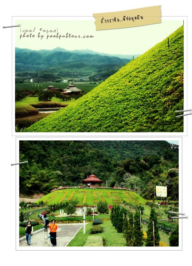 ไร่ส้มธนาธร