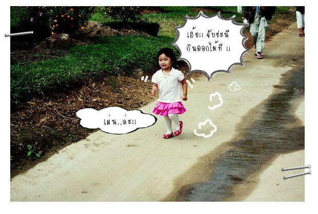 เฮ๊ย จับชะนีที