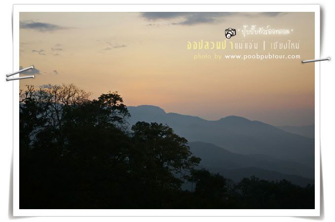 สวนป่าแม่แจ่ม