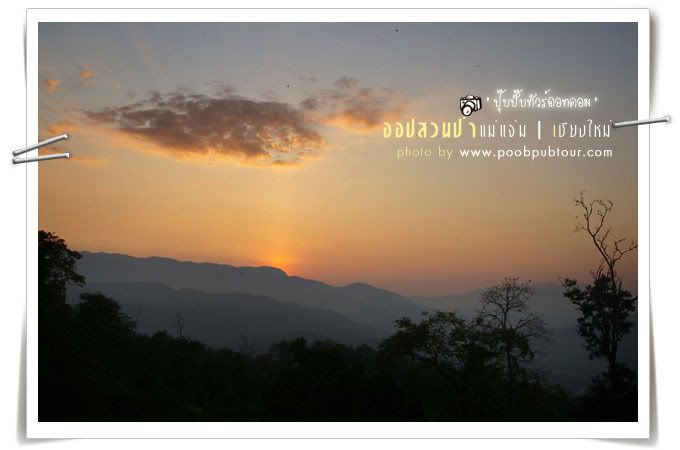 สวนป่าแม่แจ่ม