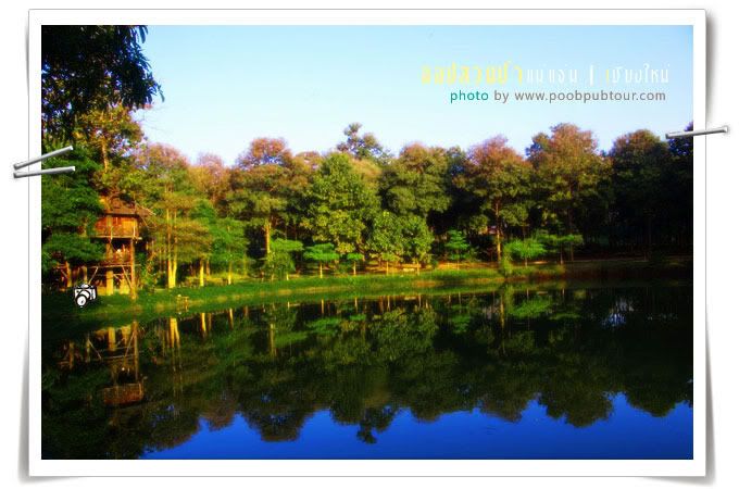 สวนป่าแม่แจ่ม
