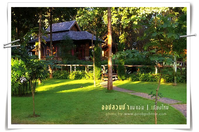สวนป่าแม่แจ่ม