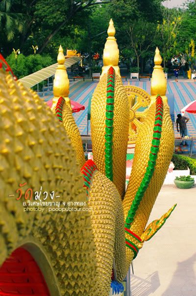 หัวพญานาค