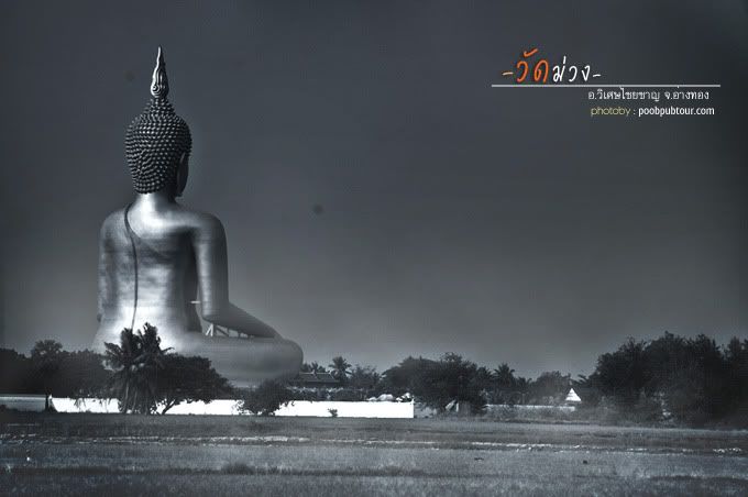 วัดม่วง3