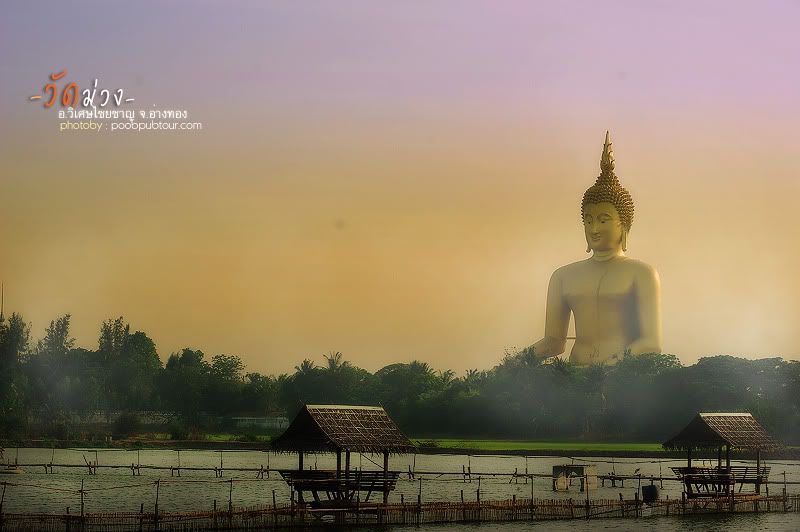 วัดม่วง2