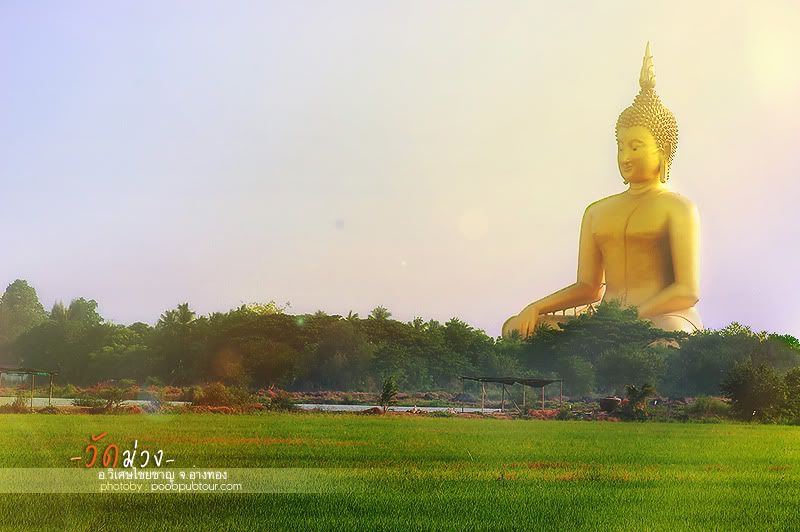 วัดม่วง1