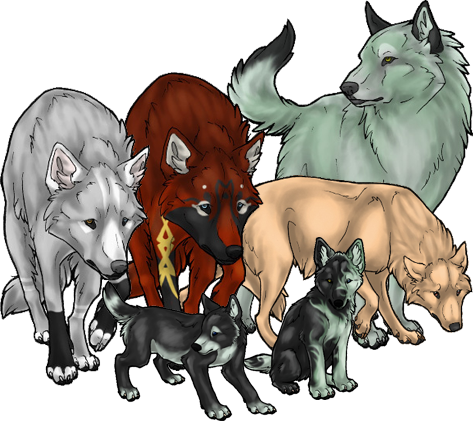 Strange Wolf Pack Image thumb