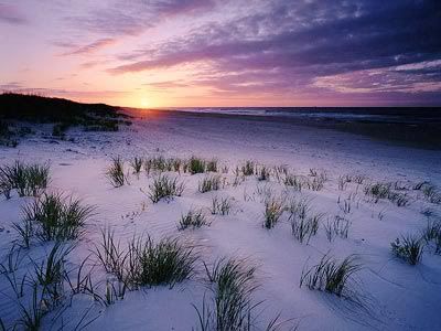 Ocracoke beach, North Carolina, USA