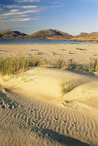 Luskentyre beach, Scotland