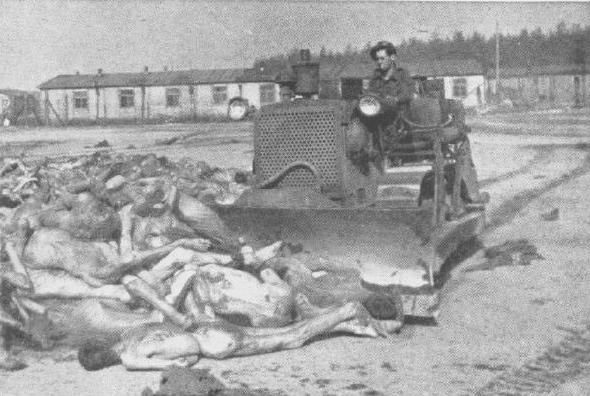 belsen02.jpg
