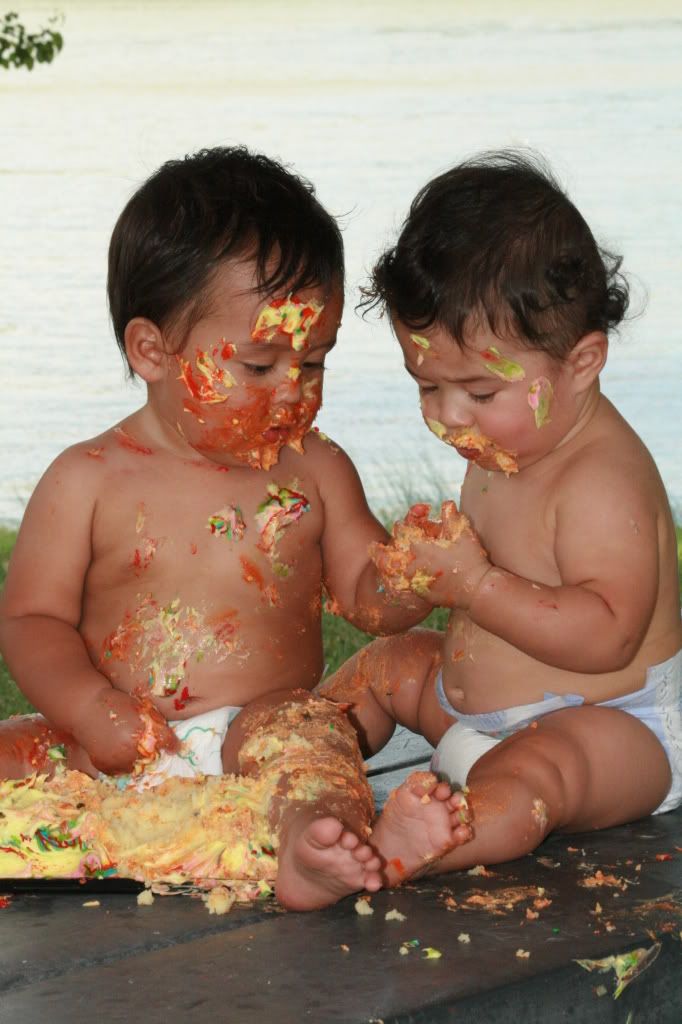 IMG_3812.jpg WE HOPE YOU DIDN'T WANT ANY CAKE image by THEDOGLAINDIA