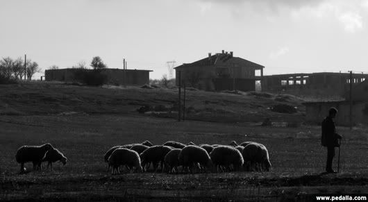 Kastabala Vadisine Sadakat Fotoğraf: Feyyaz ALAÇAM