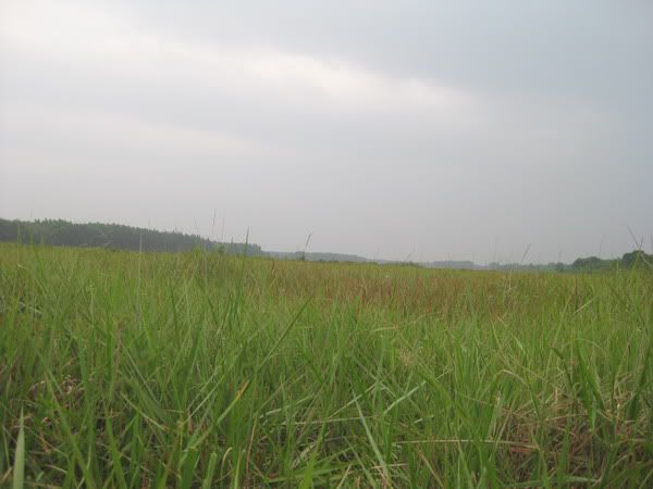IMG_0848.jpg