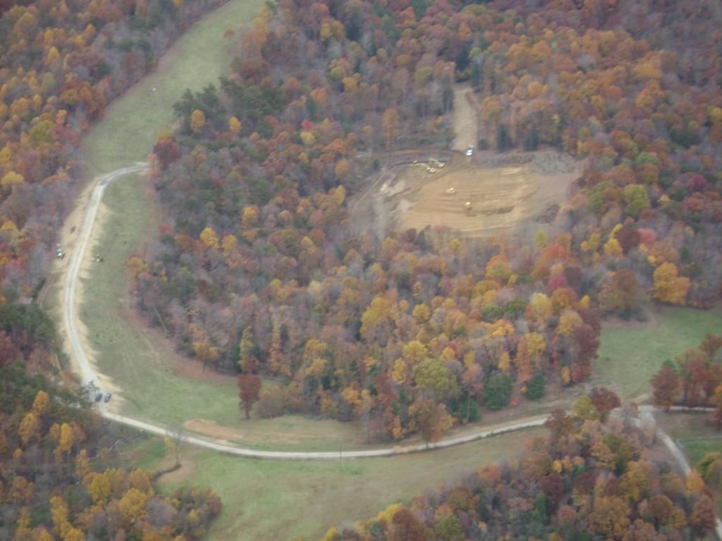 share this story of a Jersey's last breath (GRAPHIC photos) - Homesteading Questions