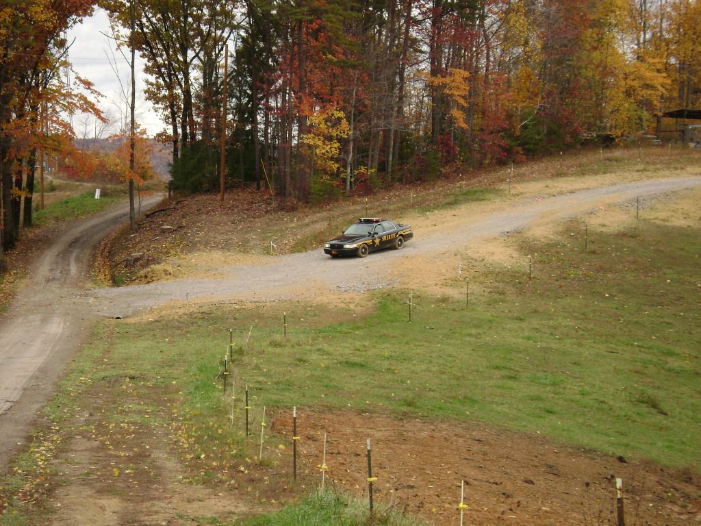 share this story of a Jersey's last breath (GRAPHIC photos) - Homesteading Questions