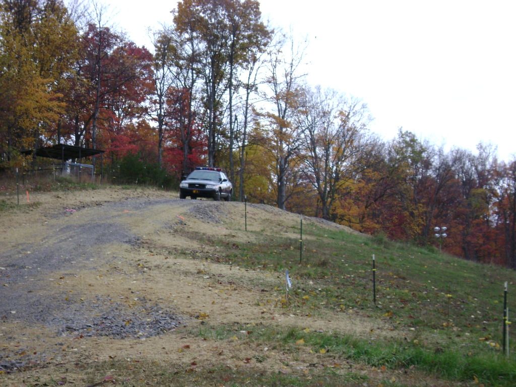 share this story of a Jersey's last breath (GRAPHIC photos) - Homesteading Questions