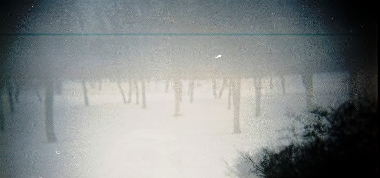winter 2010 film