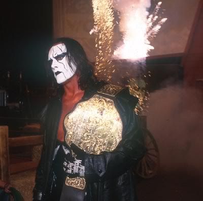Old Wcw Sting