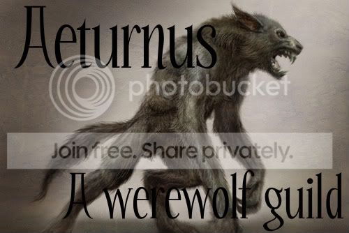 Aeturnus: A werewolf guild banner