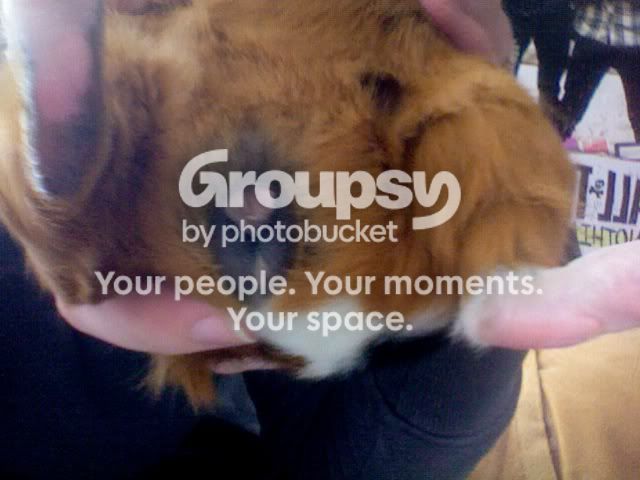Photoon2012-01-29at1253.jpg